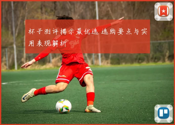 杯子测评揭示最优选 选购要点与实用表现解析