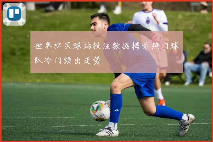 世界杯买球站投注数据揭示热门球队冷门频出走势