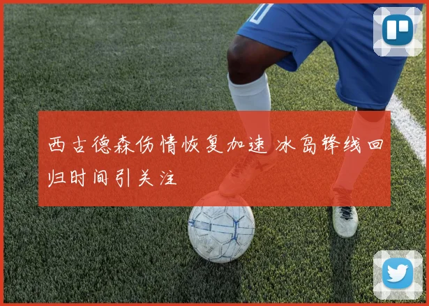 西古德森伤情恢复加速 冰岛锋线回归时间引关注