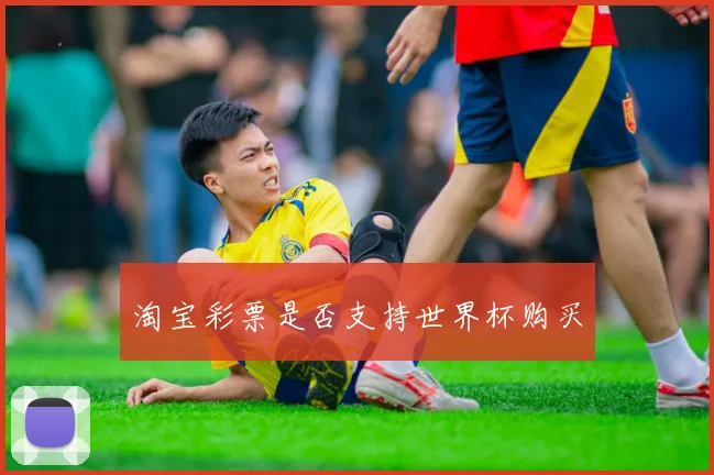 淘宝彩票是否支持世界杯购买