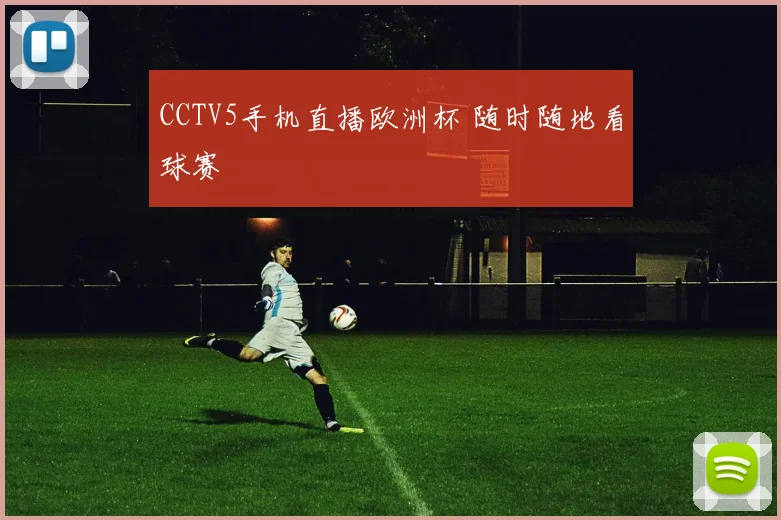 CCTV5手机直播欧洲杯 随时随地看球赛