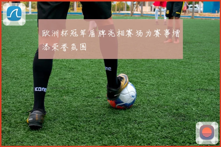 欧洲杯冠军盾牌亮相赛场为赛事增添荣誉氛围