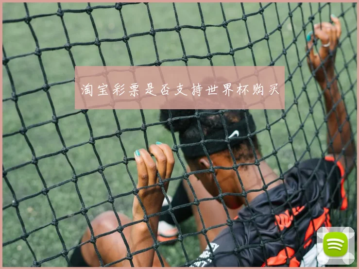 淘宝彩票是否支持世界杯购买