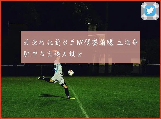 丹麦对北爱尔兰欧预赛前瞻 主场争胜冲击出线关键分
