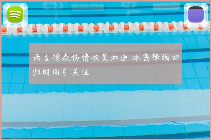 西古德森伤情恢复加速 冰岛锋线回归时间引关注